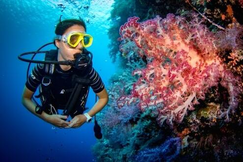 СУПЕР ЦЕНА! Готови ли сте за Подводно Приключение: ГМУРКАНЕ в акваторията на Созопол от Водолазен център Светът на Мълчанието само за 40 лв.