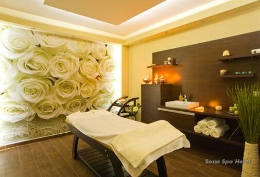 УИКЕНД в ХИСАРЯ, САНА СПА ХОТЕЛ 4*: Нощувка със закуска + WELLNESS пакет на цена от 97 лв. за ДВАМА + ДЕТЕ до 11.99 г. БЕЗПЛАТНО!