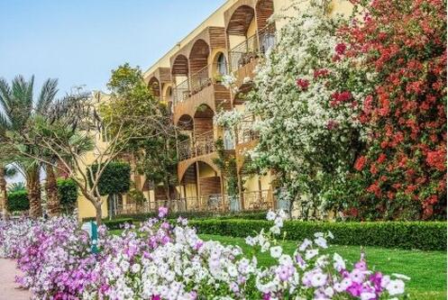 Египет 2021, хотел DESERT ROSE 5*PREMIUM: Чартърен Полет с трансфери + 7 нощувки на база ALL INCLUSIVE на цени от 797 лв.