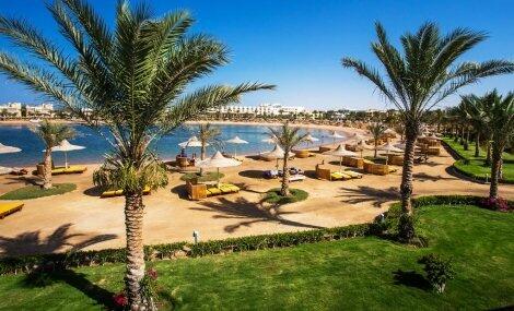 Египет 2021, хотел DESERT ROSE 5*PREMIUM: Чартърен Полет с трансфери + 7 нощувки на база ALL INCLUSIVE на цени от 797 лв.