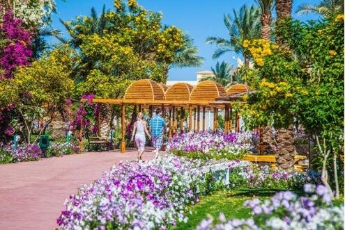 Египет 2021, хотел DESERT ROSE 5*PREMIUM: Чартърен Полет с трансфери + 7 нощувки на база ALL INCLUSIVE на цени от 797 лв.